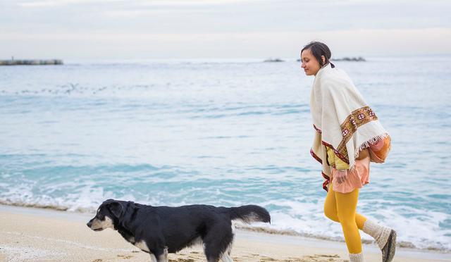 别伤害我的狗子!盘点五大最宜带毛孩子旅行的