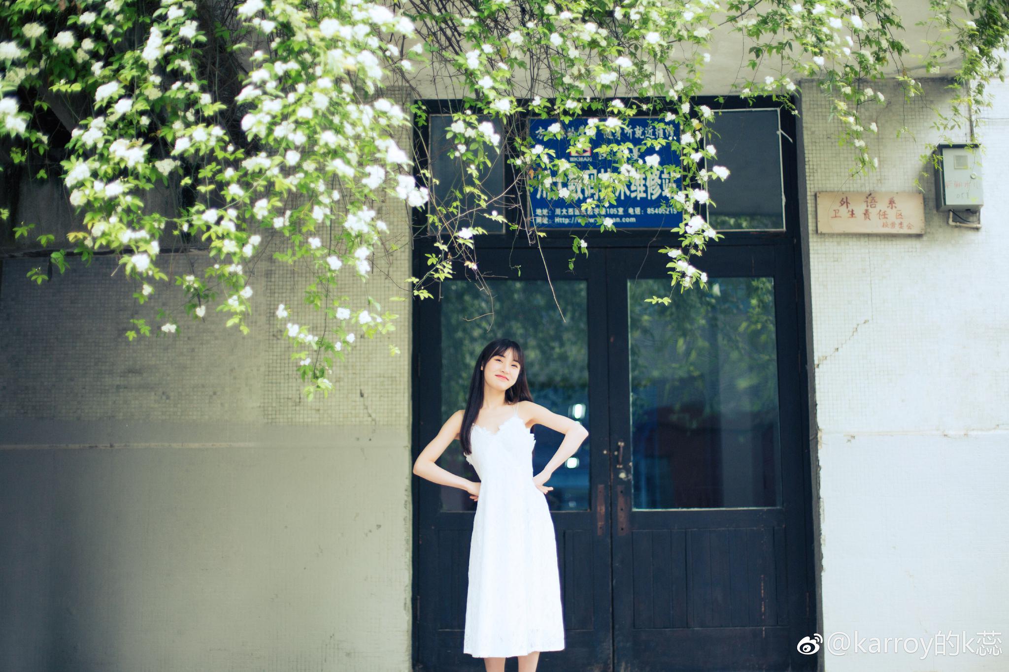 看我拍的花与少女快点来约我拍花花呀绣球三角梅蔷薇都开花落 三角梅 绣球 蔷薇 新浪新闻