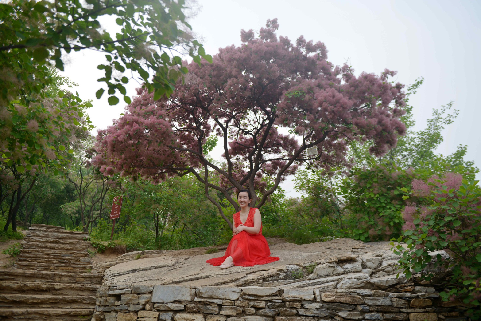 赏黄栌花开，住网红民宿，来北京房山感受惬意生活