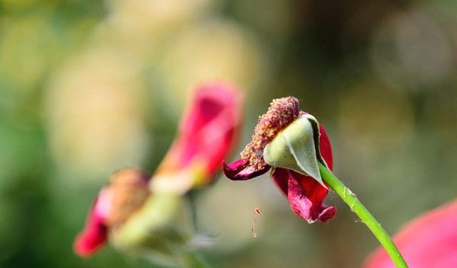 老公经常夜不归宿,回家后一句话怼死我