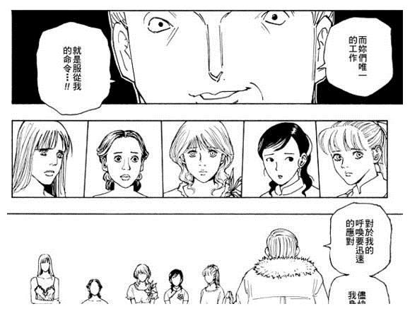 全职猎人: 庞姆并没有失身比哲夫, 但是失身于猫女