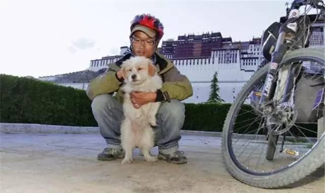 跑完川藏线的狗狗“小萨”, 现在它怎么样了?