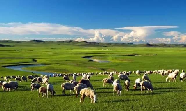 最美    六大草原   呼伦贝尔大草原(内蒙古)