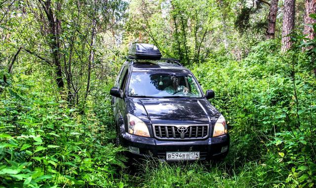 耐造皮实并非我的全部追求，普拉多车主坦言动力十足才是我的期望