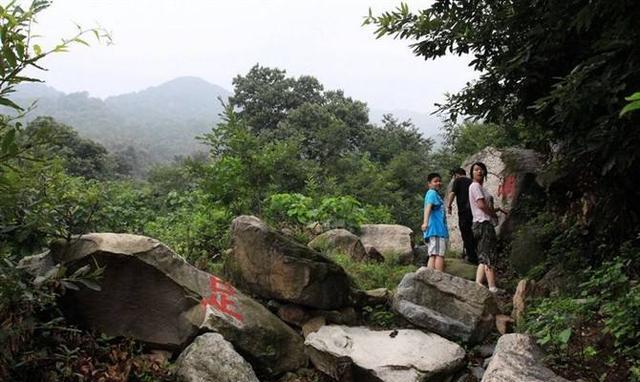 驴友强烈推荐:六月的河南亲子游3个绝佳免费景点,有水