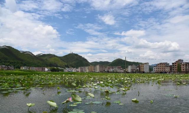 罗岗镇总人口_兴宁罗岗镇霞岚村照片