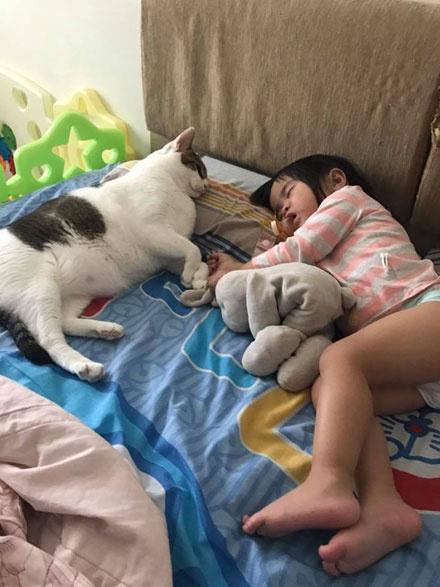 哥哥不让我穿内衣睡觉_不准美女穿内衣图片(3)