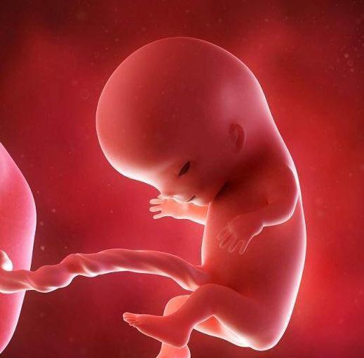 原来一跳一跳的胎动是宝宝在做这件事,太萌了