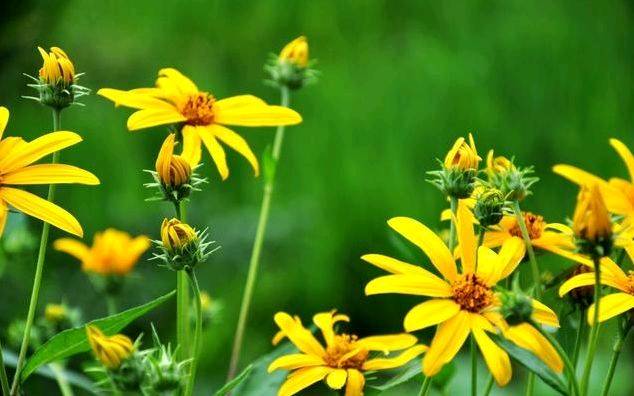 非常经典的句子:只有靠自己,说话才硬气,做事才