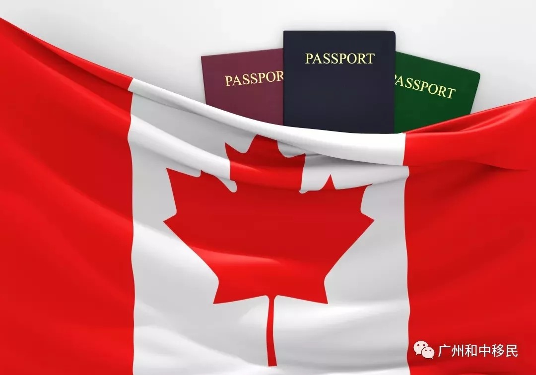 枫叶卡那些不得不说的盲点,90%的人都没搞懂