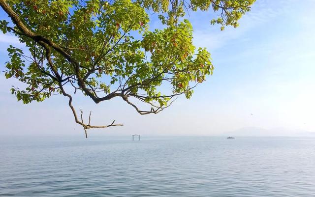 烟台蓬莱划区对于烟台发展有何利好?