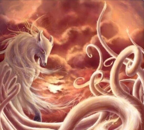 十二星座藐视的九尾狐水果,狮子座亦狼亦狐,真身座幻化一切!巨蟹座的专属水瓶图片
