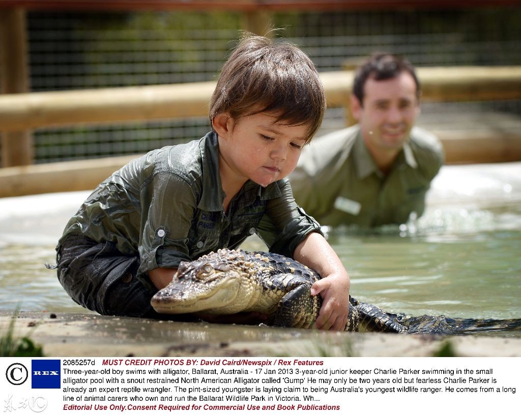 澳大利亚三岁男童和鳄鱼、蟒蛇为伴,被称为最年轻的动物管理员