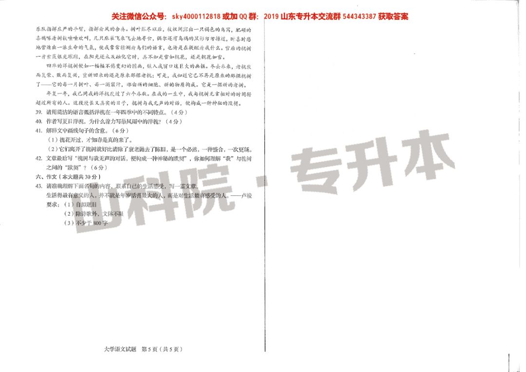 专业解析 | 2019、2020山东专升本专业--英语(