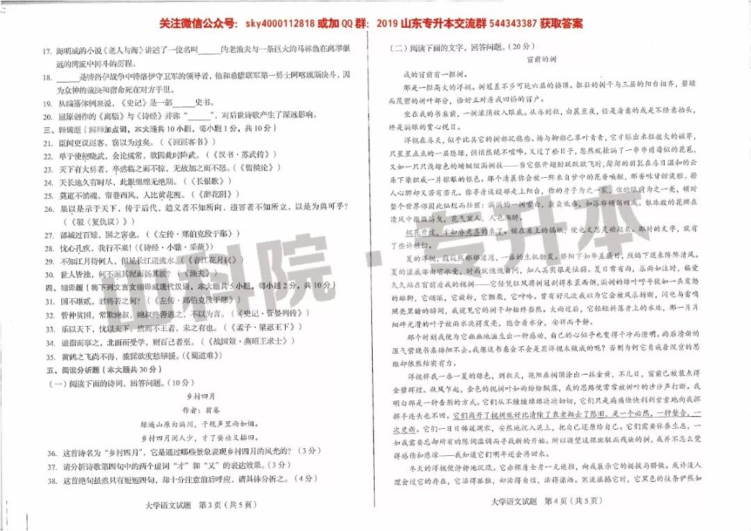 专业解析 | 2019、2020山东专升本专业--英语(