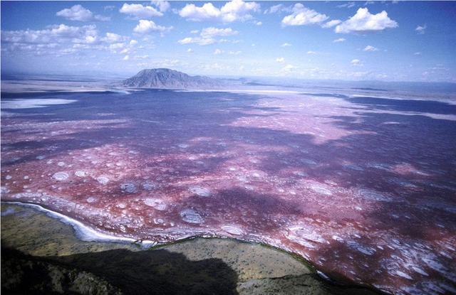 世界上最诡异恐怖的湖泊,被称为"冥湖",生物一旦触碰瞬间石化