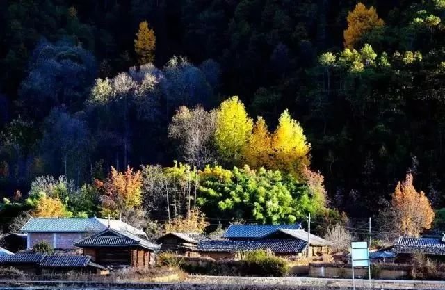 泸沽湖最美的10家民宿，和亲爱的客栈一样美得不像话
