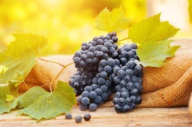 孕妇多吃葡萄宝宝眼睛大?孕期多吃这些食物,胎