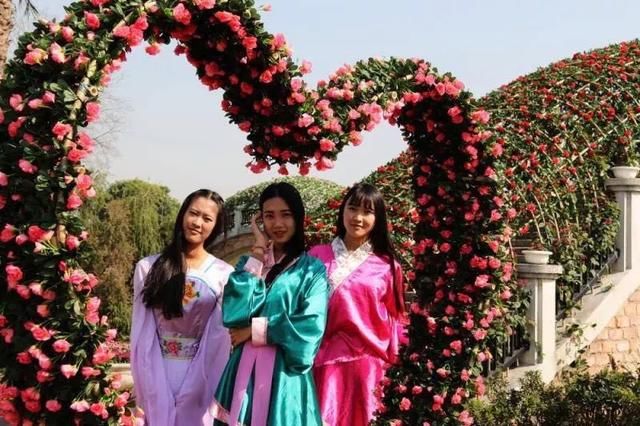 美极了!广西五彩田园“三角梅花海节”真的太美了!!