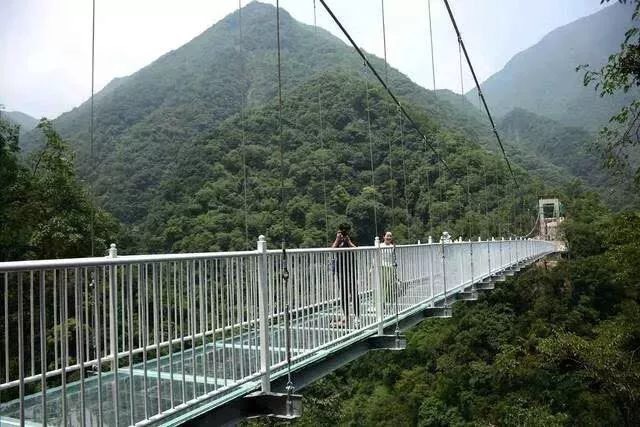 厦门同安野山谷景区7d全透明的玻璃天桥,看图片不是很惊险,刺激啊