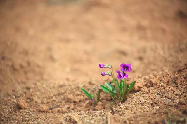 公考经验:一无所有全职备考法院终上岸,两次面
