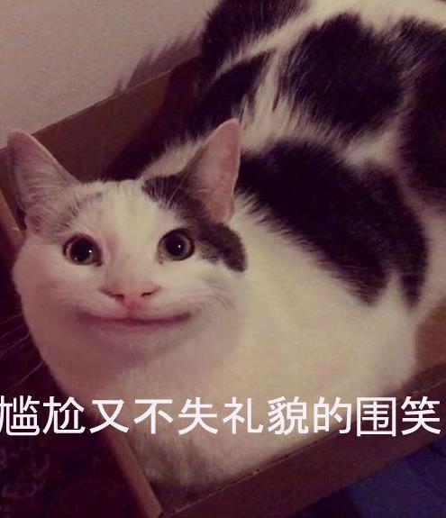 假笑就是ollie本来的样子, 其实假笑猫是p的, 真实的ollie长这样
