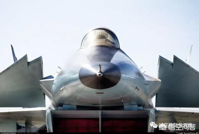 世界上有哪些战斗机用鸭翼布局?