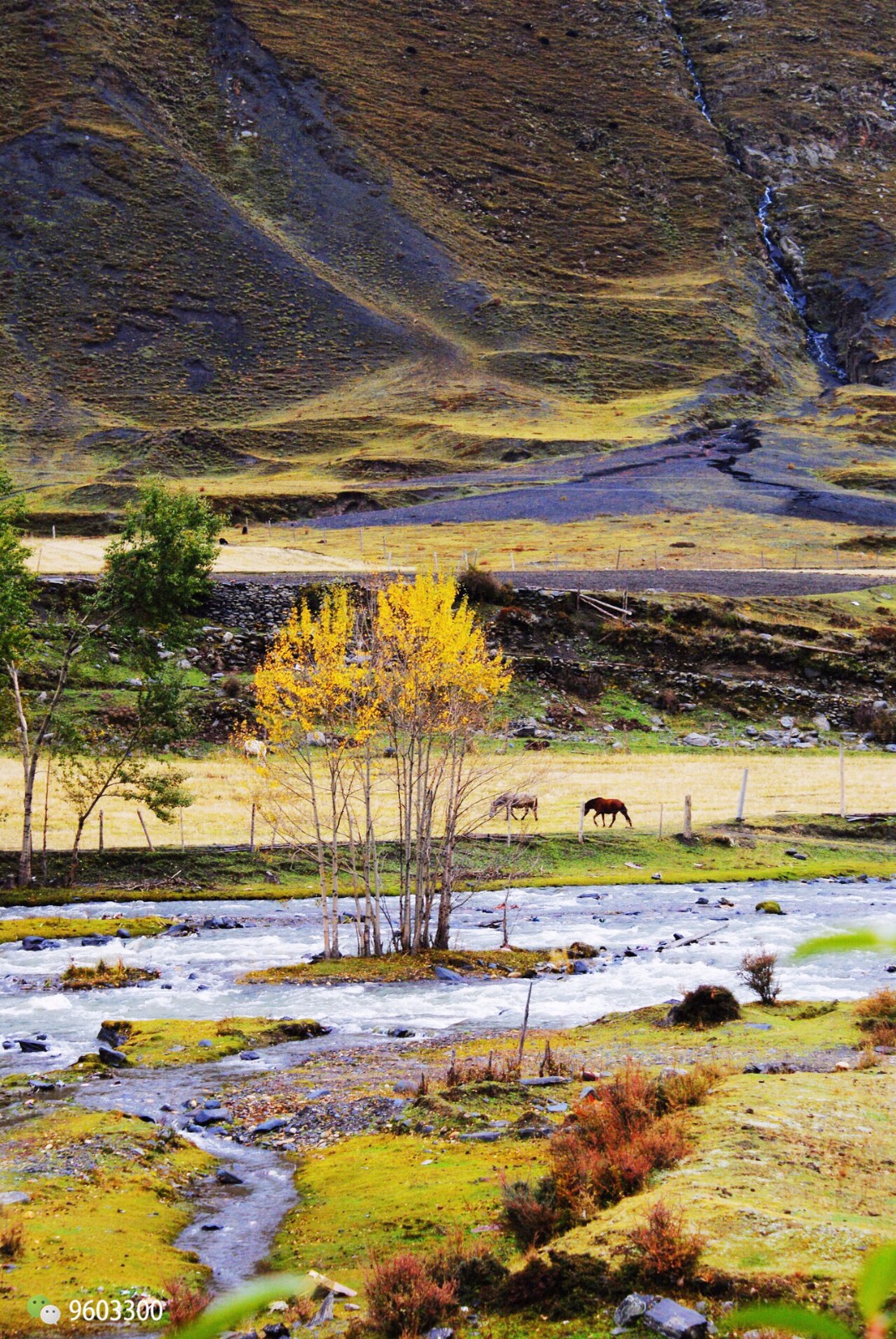 2018川藏线旅游路线图