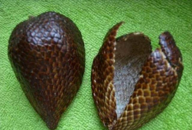 这些水果名字好听,非常经典的文章,不看后悔