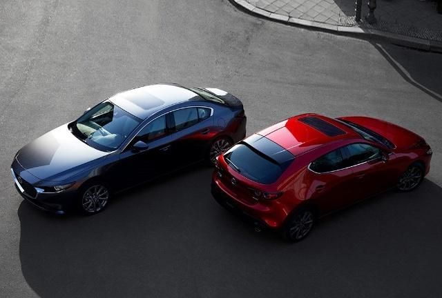 速递!新鲜的“小钢炮“资讯全在这，看我就够了