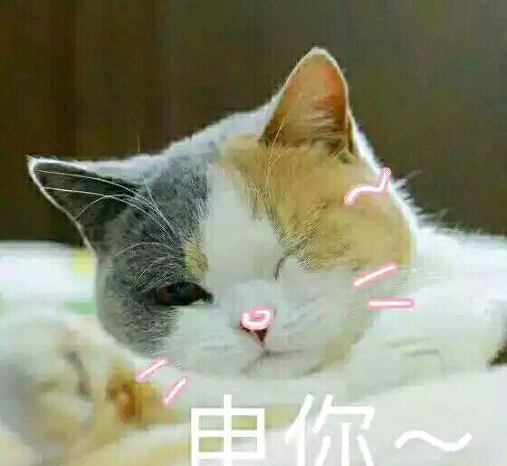 我于是对正在睡觉的班长说   老师叫你擦黑板 他一惊迷迷糊糊的上去