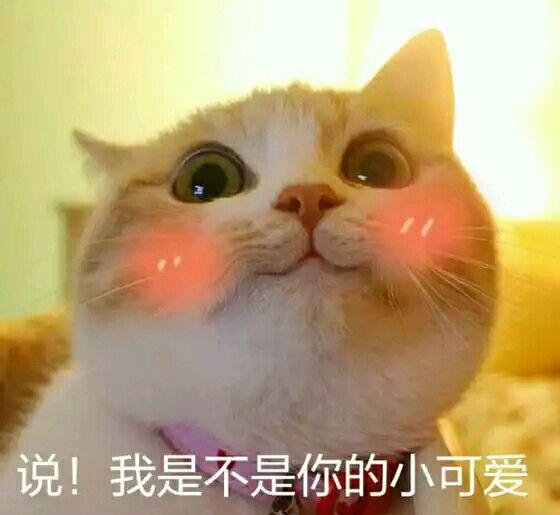 我于是对正在睡觉的班长说   老师叫你擦黑板 他一惊迷迷糊糊的上去
