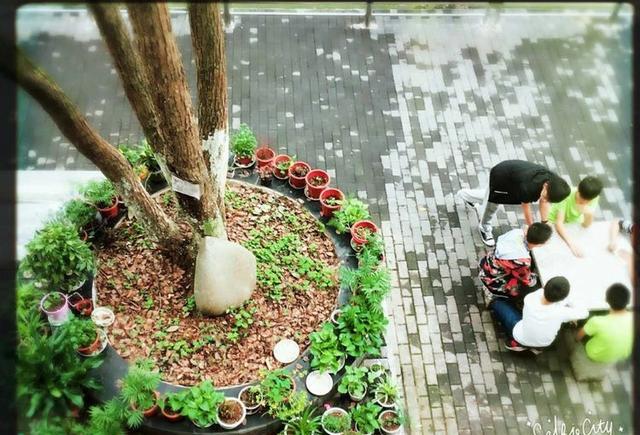 江西省上栗中学初中部因你更精彩