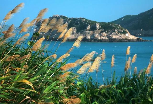 南麂岛人口_温州南麂岛图片