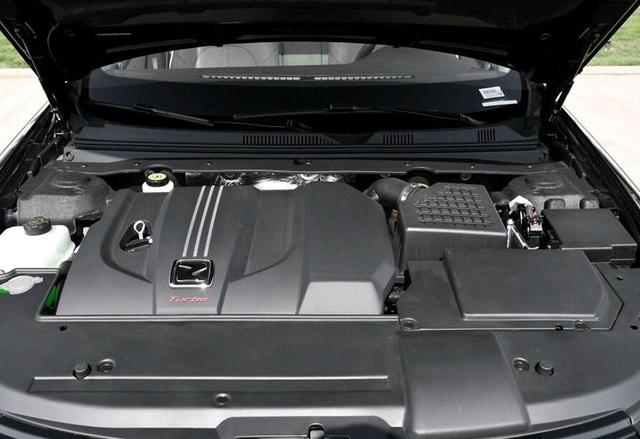 ������5��������ţ���10�������������