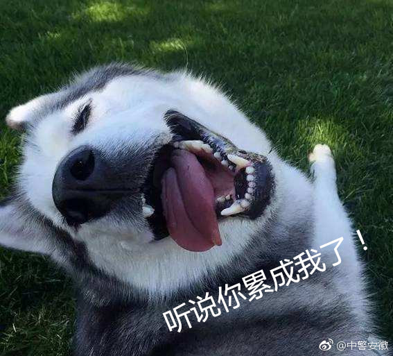 小伙高考完进工地搬砖,给哭诉累成狗