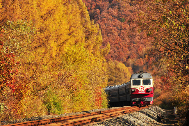 如果你在秋天，坐上了一趟开往长白山的绿皮火车