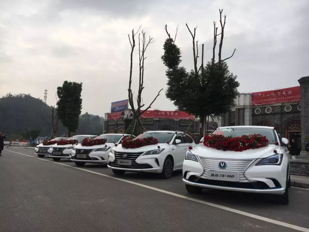 晋嫣宣布婚讯刷爆了微博,而这66对新人却火爆