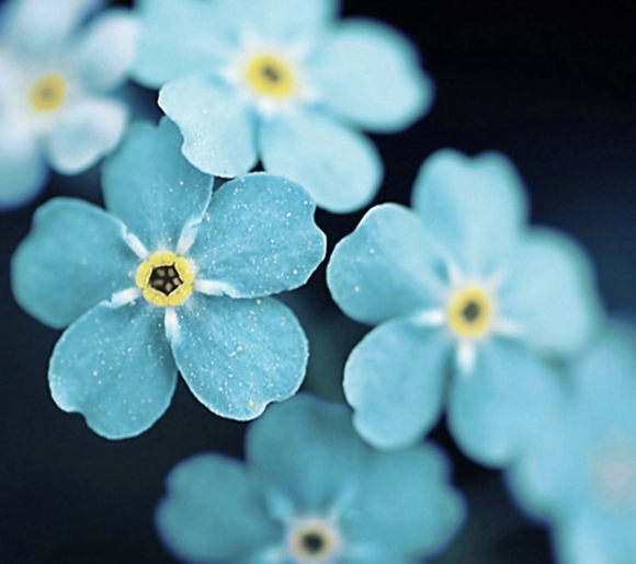 励志语录:成功的反义词不是失败,而是什么都不