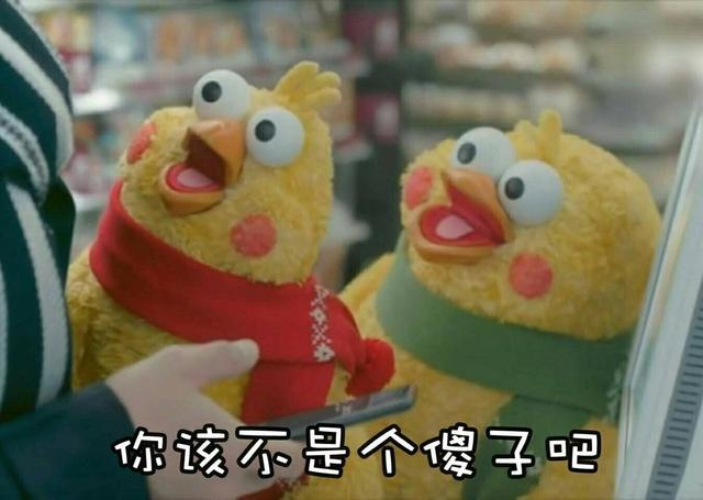 火爆网络的鹦鹉表情包最全无水印快进来看