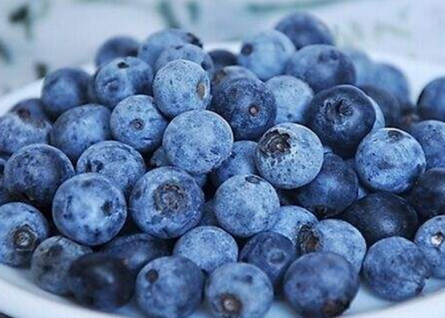 夏季到了新鲜蓝莓到底如何保存才好,专家这么