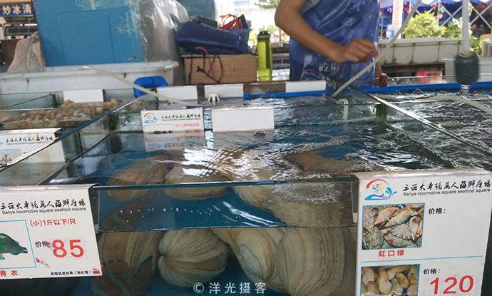 在三亚海鲜市场看到商家这几种无意识举动时, 你就可以放心的购买