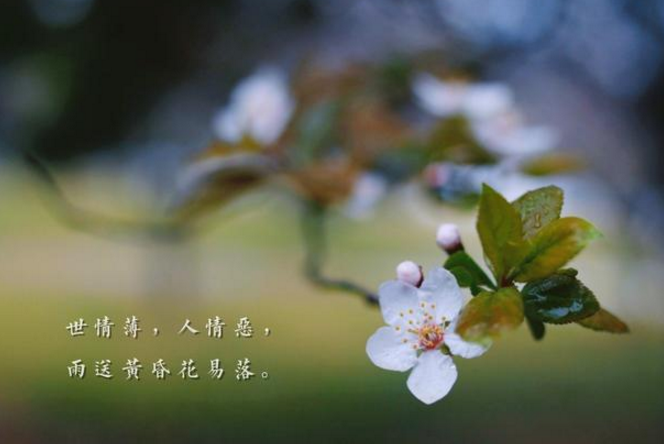 人生哭过笑过,不外是得得失失,坎坎坷坷