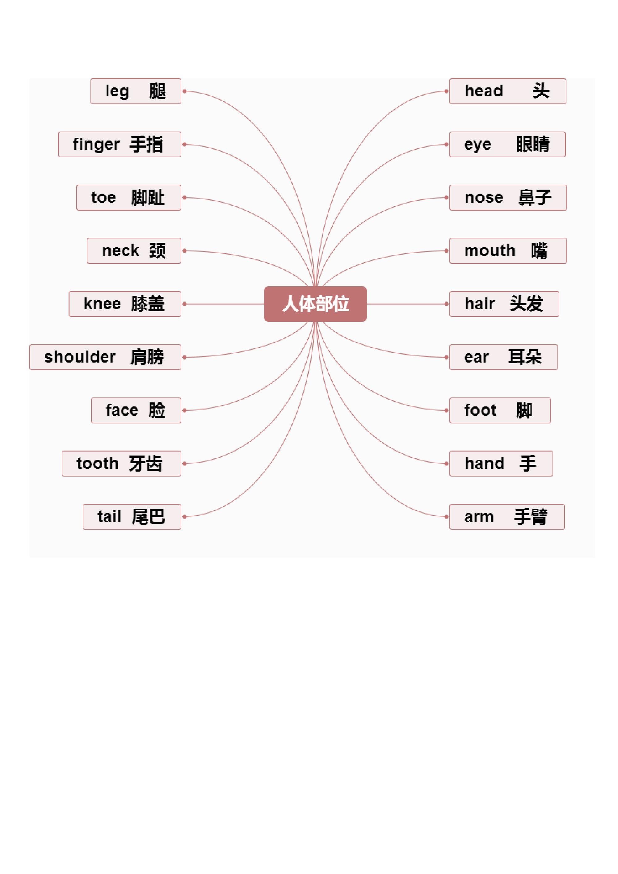 小升初英语单词思维导图,方便记忆