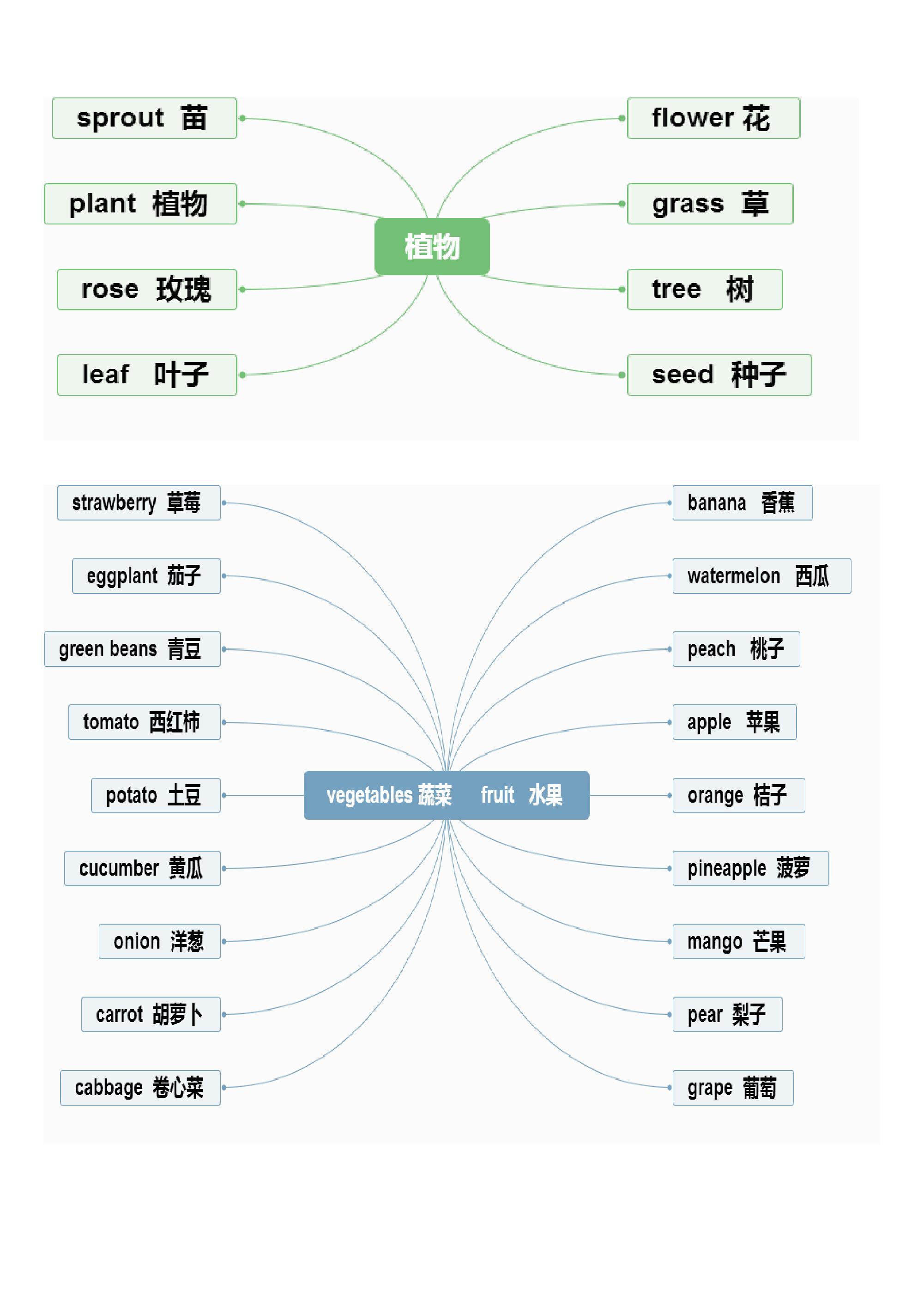 小升初英语单词思维导图,方便记忆