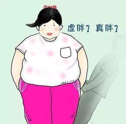 不胖,但是肚子太大腿粗壮?可因为这个!思婷蚊子瘦身液图片