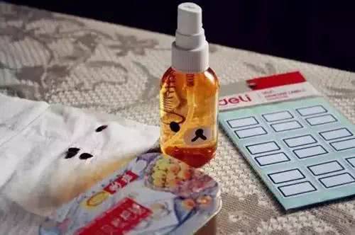 苹果籽种出来的不只是苹果树,还可以是一盆美