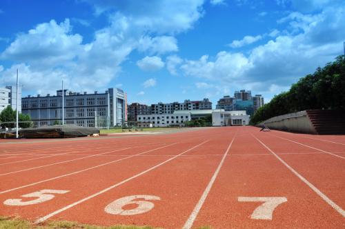 男孩每晚坚持给女孩发晚安,有一天却说了再见
