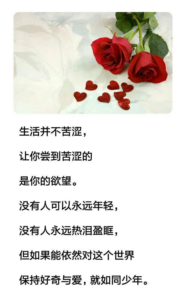 做一个温暖的人,浅浅笑,轻轻爱!(英汉双语版)