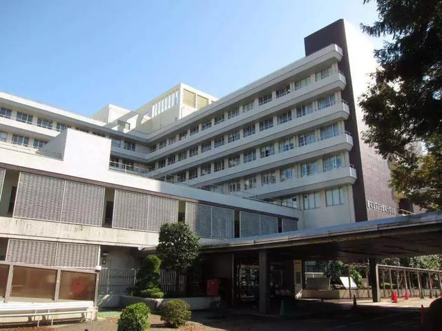 出国看病指南:日本癌症治疗排名前十的医院,哪